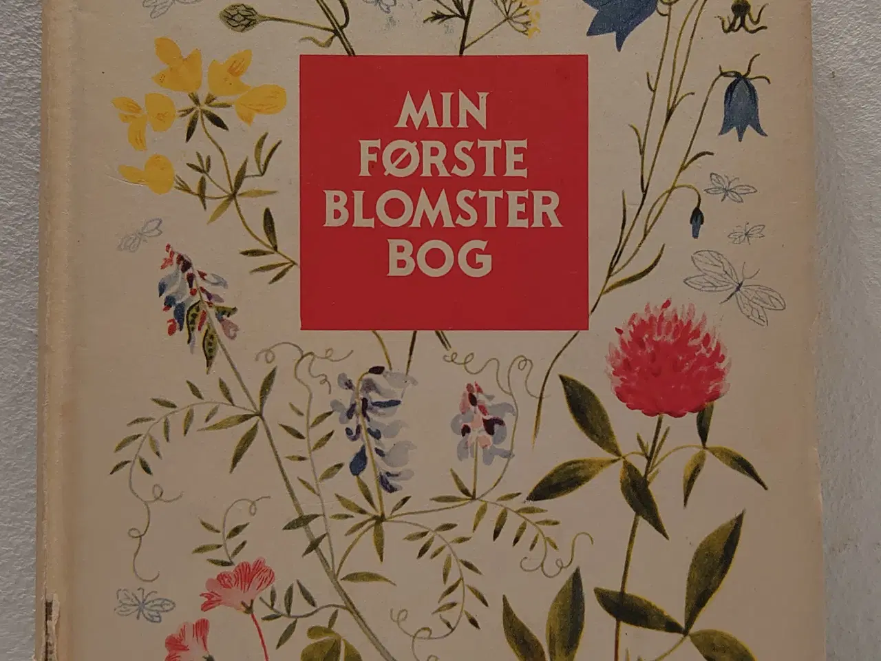 Billede 1 - Harriet Hjorth:Min første blomsterbog. 1.udg.1954