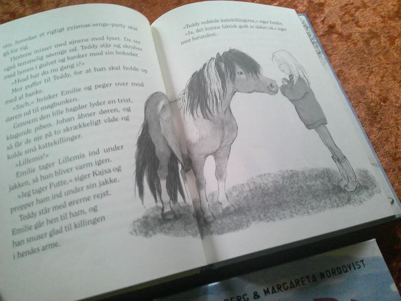 Billede 3 - Teddy,  Lin Hallberg