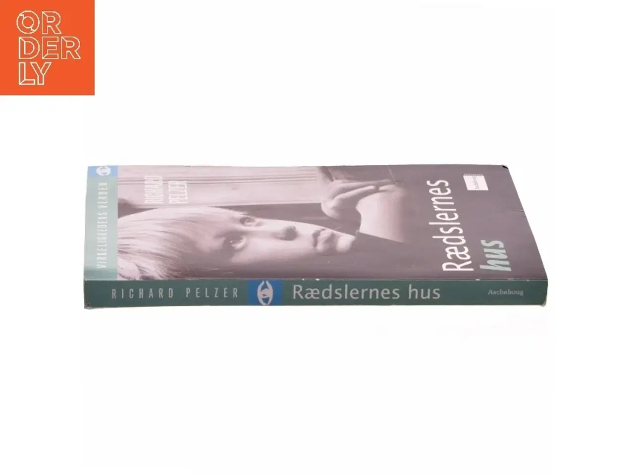 Billede 2 - Rædslernes hus af Richard B. Pelzer (Bog)