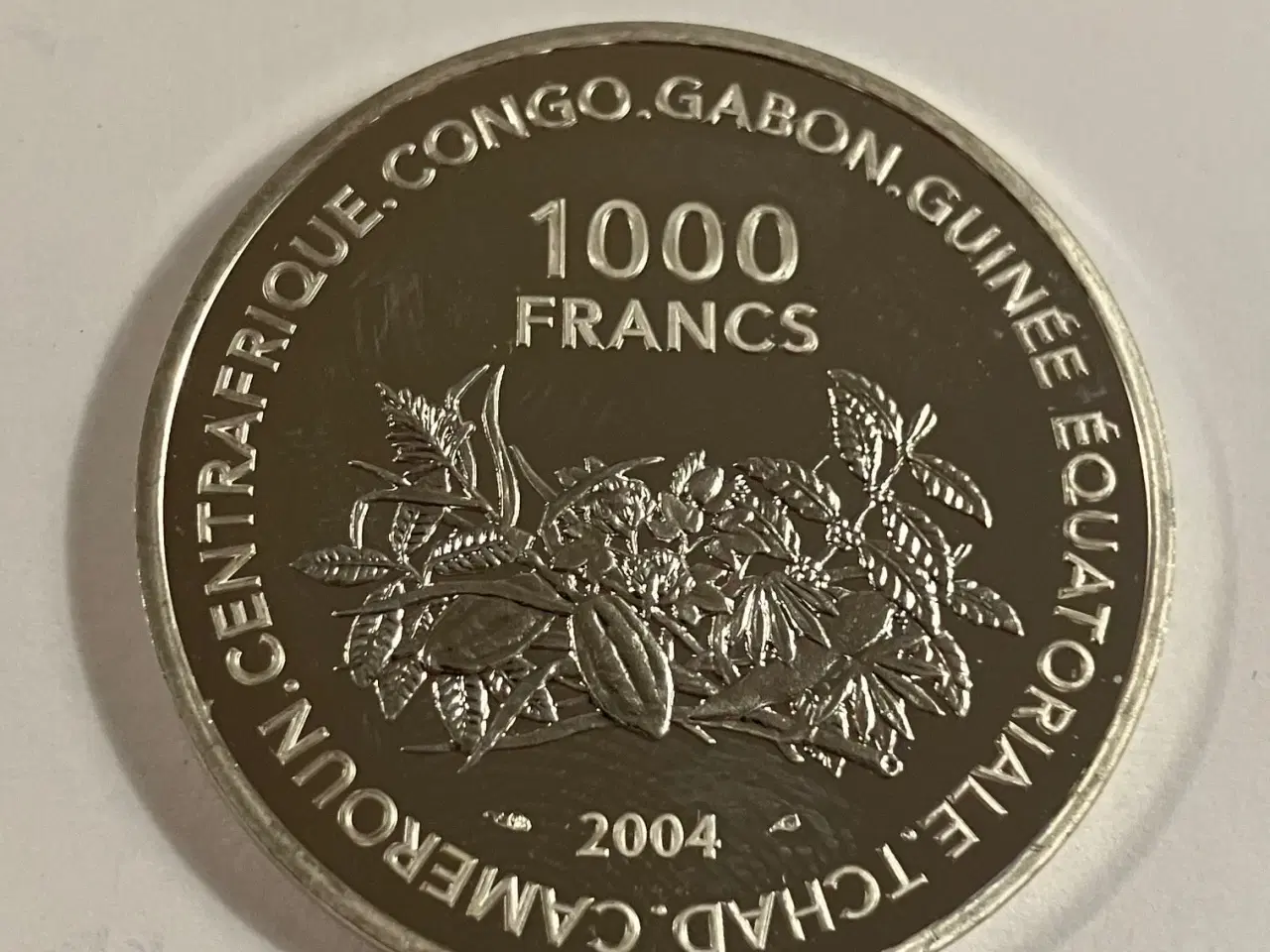 Billede 1 - 1000 Francs 2006 Central African States FIFA World Cup