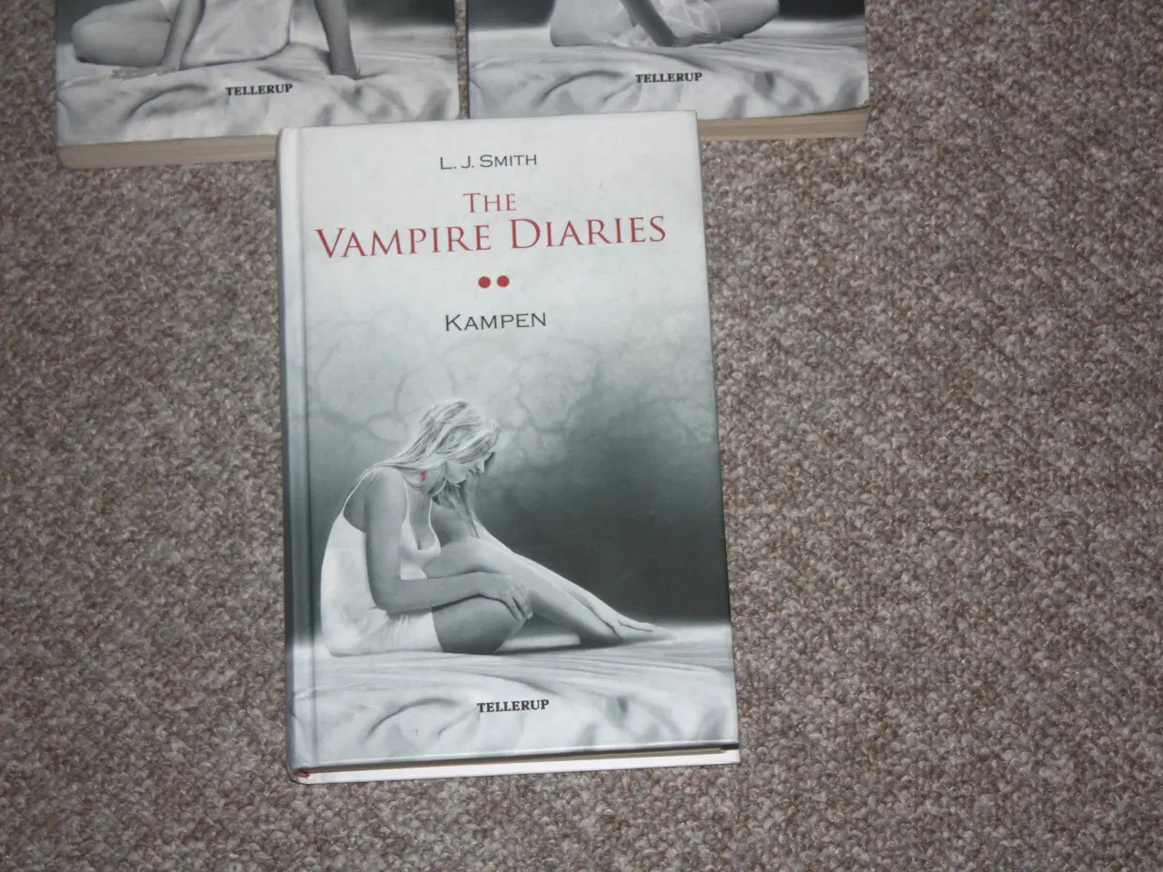 Billede 3 - The Vampire Diaries 2. Kampen L.J. Smith