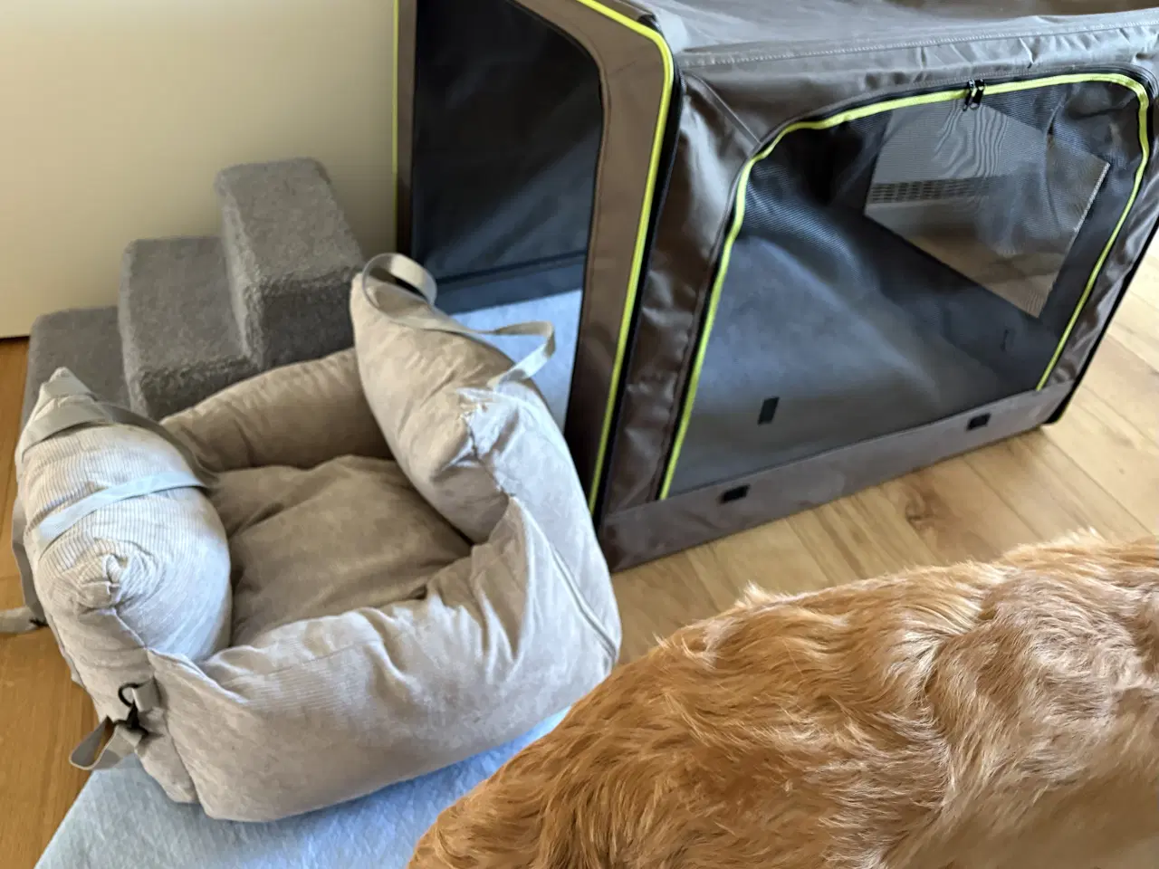 Billede 1 - Hvalpepakke