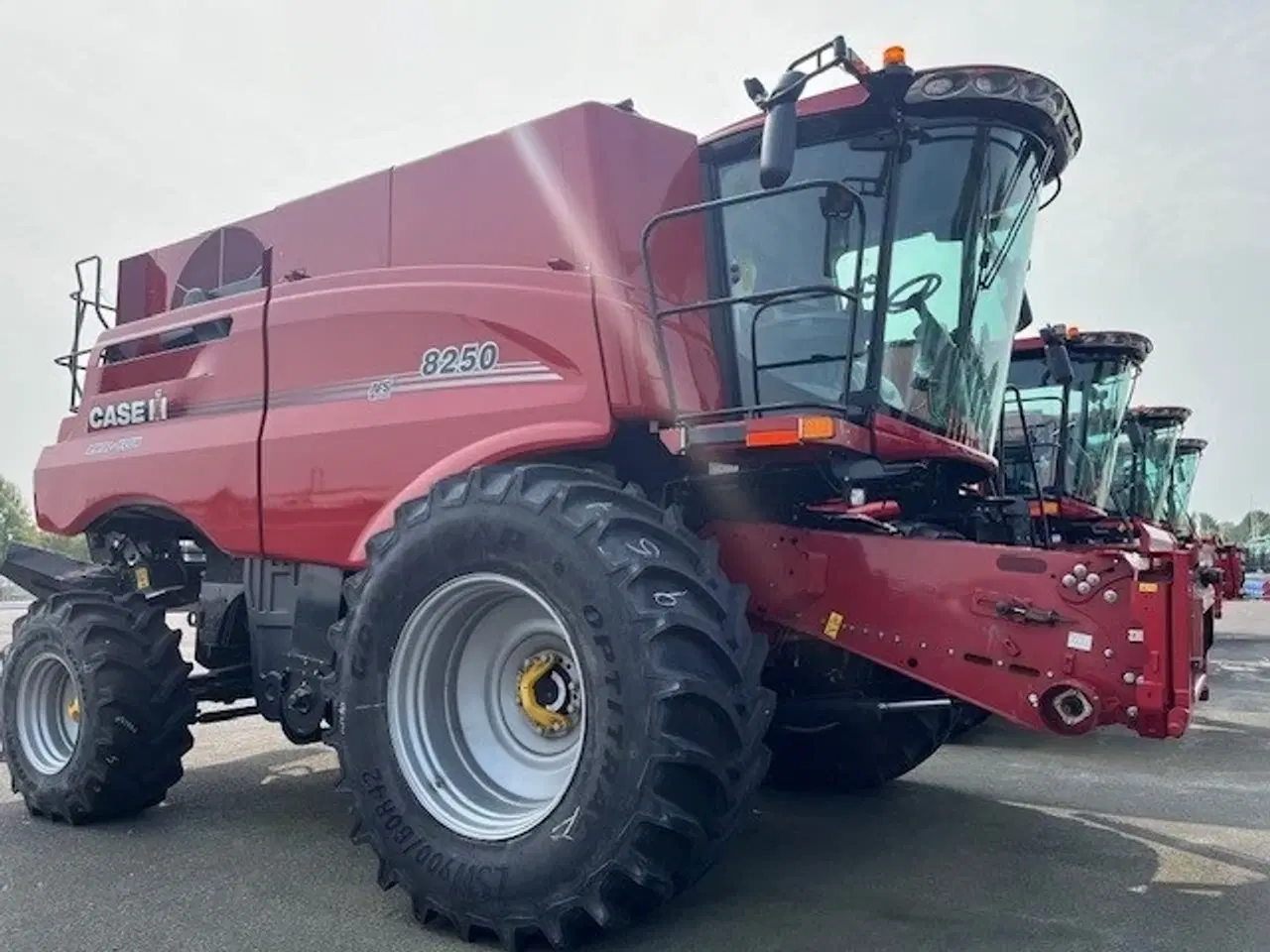 Billede 11 - Case IH 8250 Axial-Flow With 3020 30fod 9m TERRAFLEX  header.