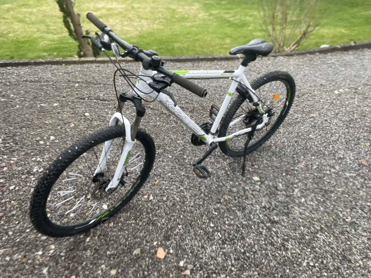 Billede 1 - Cykler kildmoes