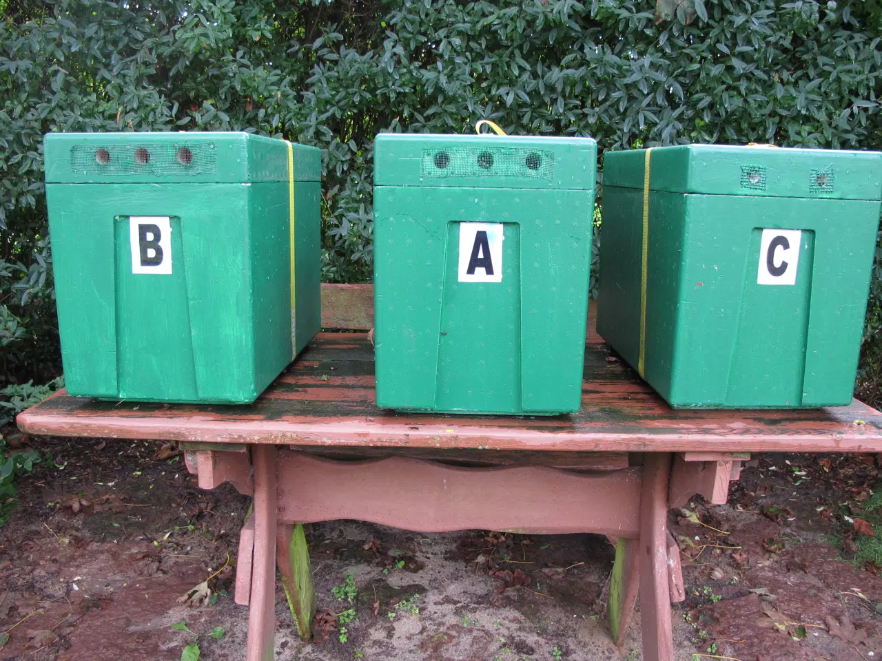 Billede 7 - Biavl , komplet udstyr