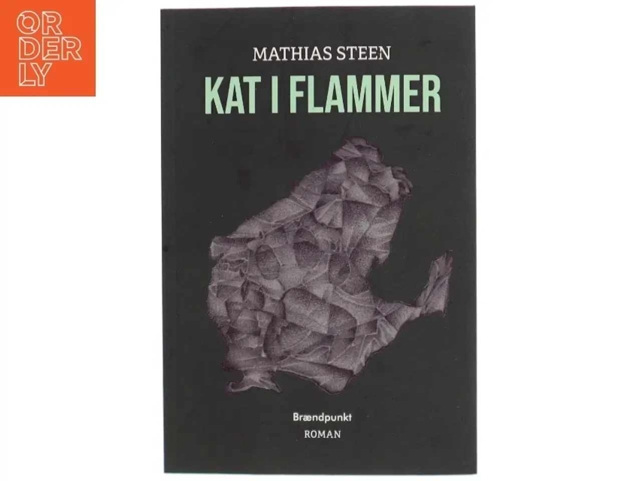 Billede 1 - Kat i flammer : roman af Mathias Steen Hansen (f. 1992) (Bog)