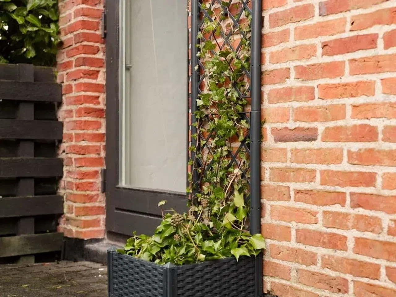 Billede 2 - 2 stk.plantekasse med espalier(ubrugt)