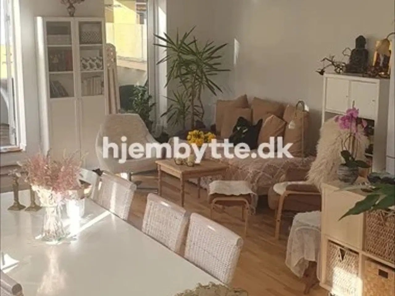 Billede 1 - Hjembytte - Storgade