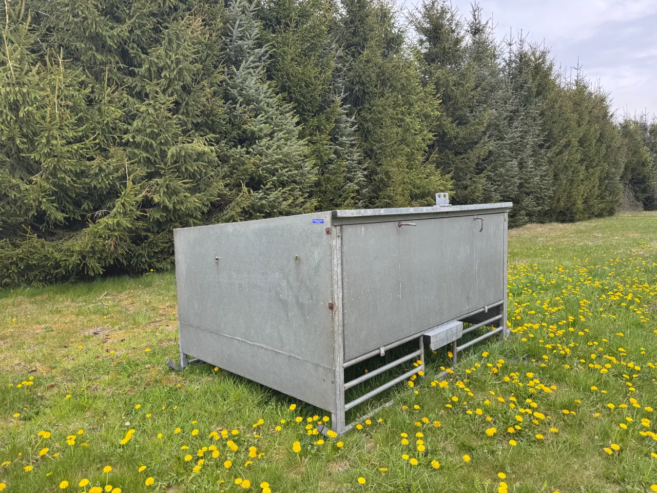 Billede 4 - Kalvebar i meget fin stand