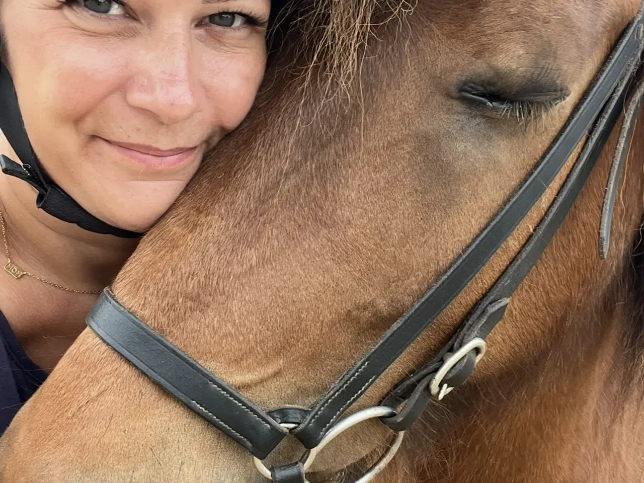 Billede 1 - Islænder vallak 14 år