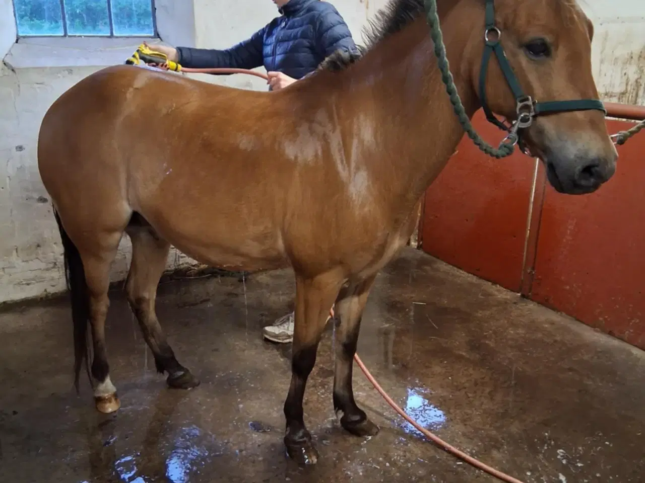 Billede 3 - Part eller Udlån 