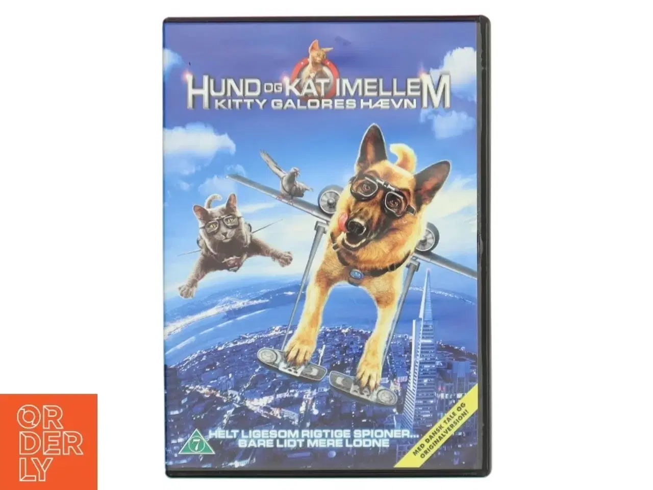 Billede 1 - HUND OG KAT IMELLEM, KITTY
