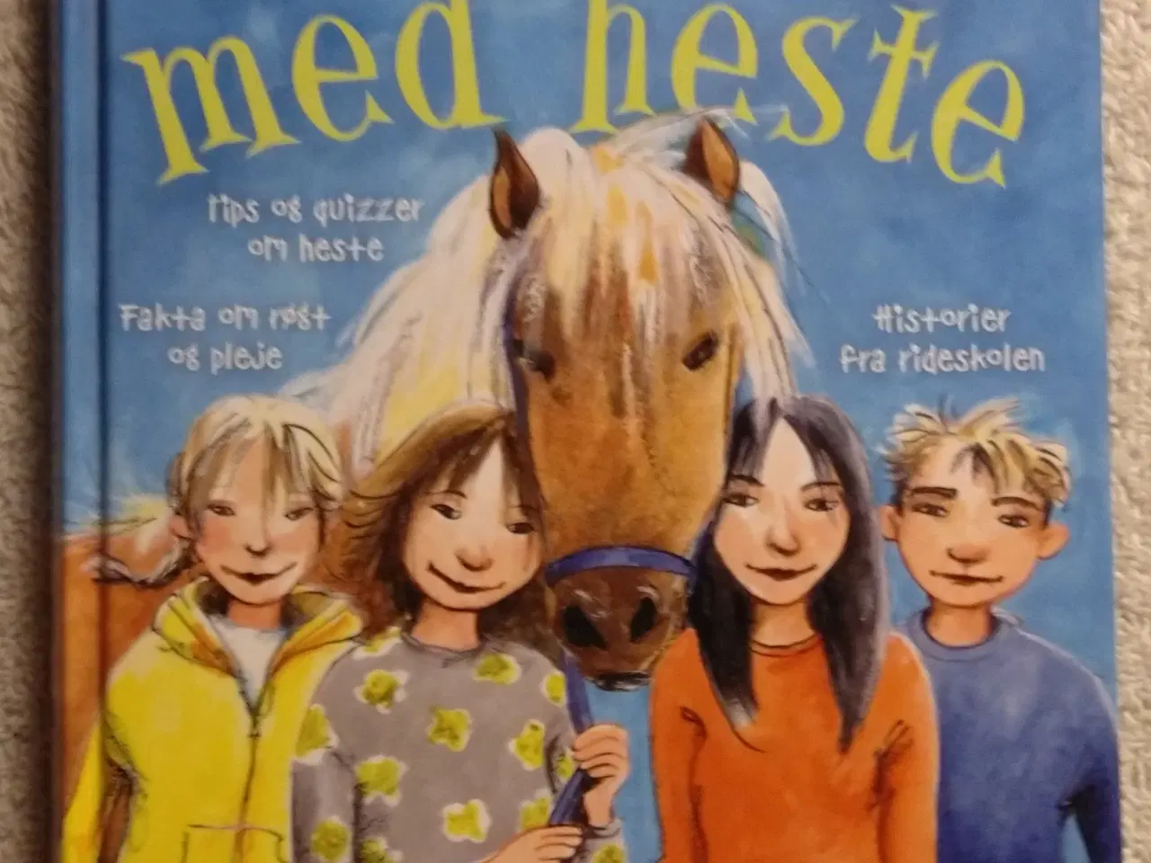 Billede 1 - Helt vild med heste