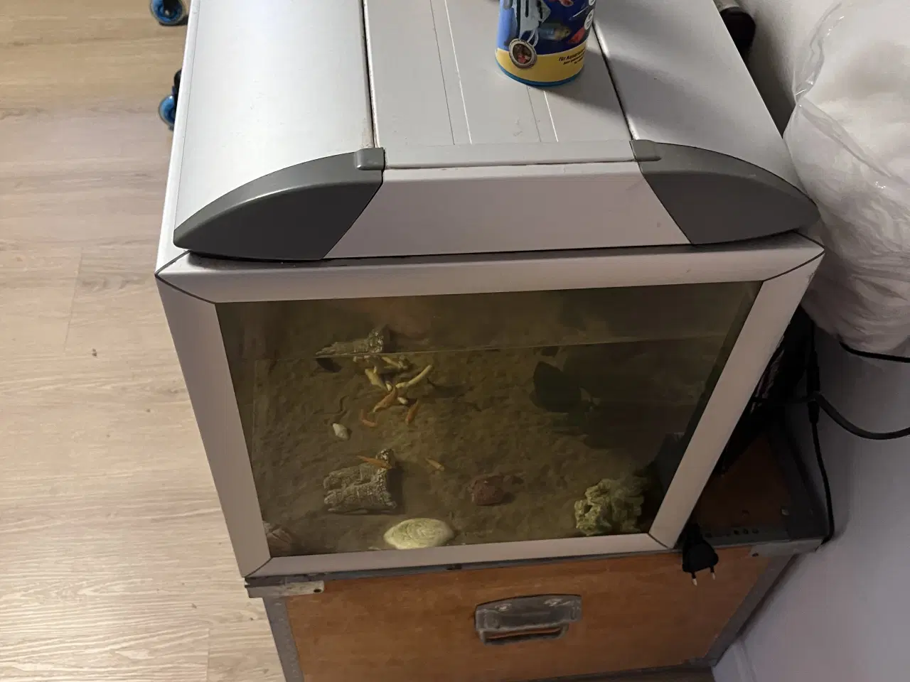 Billede 2 - Akvarie med fisk, sand, filter og varme rør