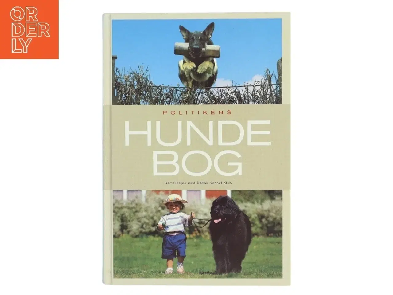 Billede 1 - Politikens hundebog af Ulla Sørensen (f. 1935) (Bog)