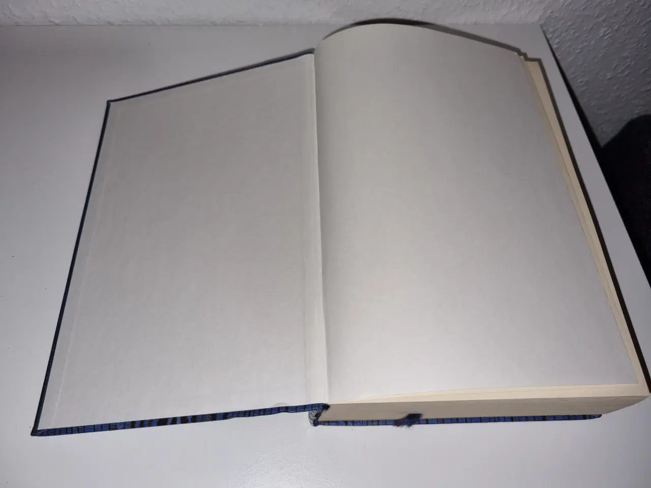 Billede 6 - Walter Moers - Kaptajn Blåbjørns 13 1/2 liv