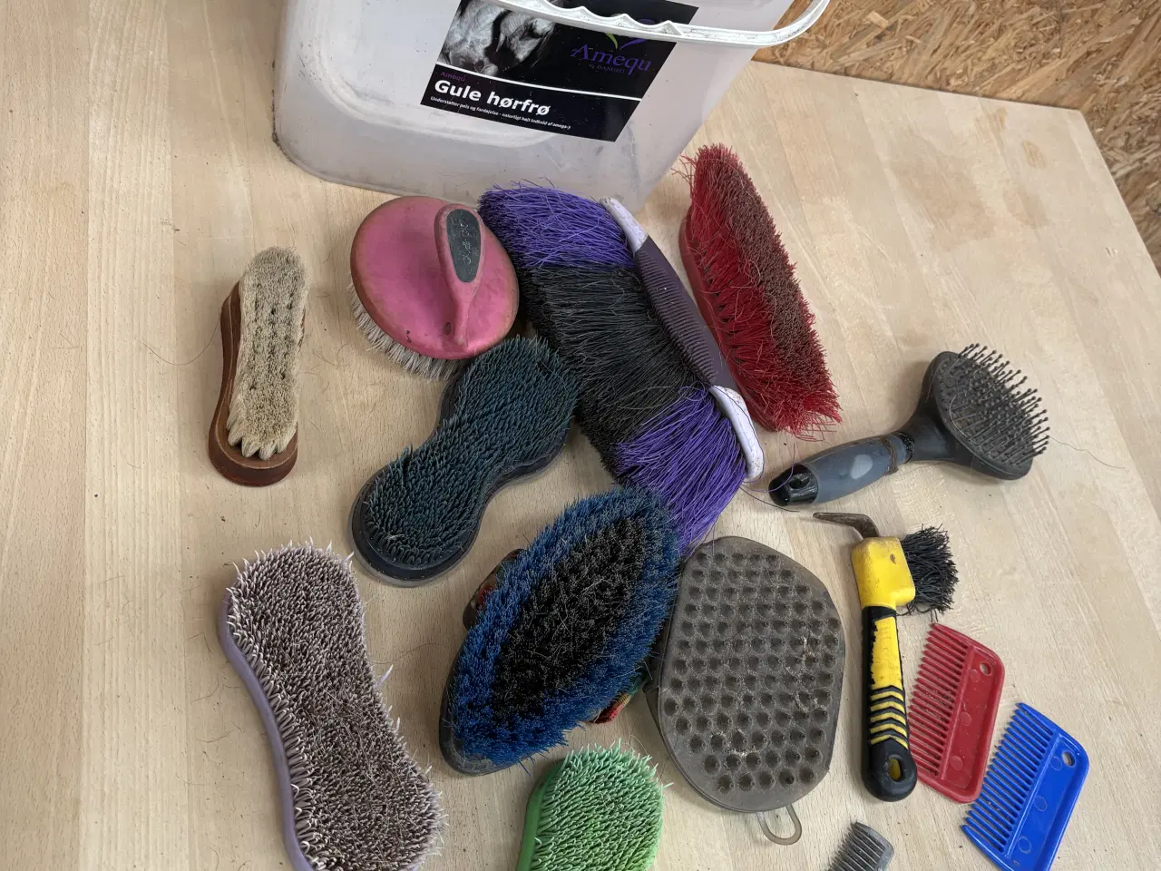 Billede 1 - Strigler 