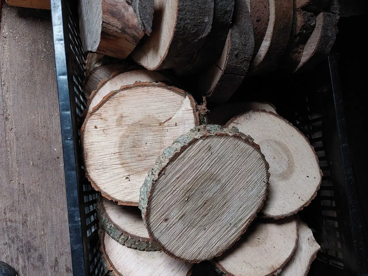 Billede 2 - Tørre træ skiver