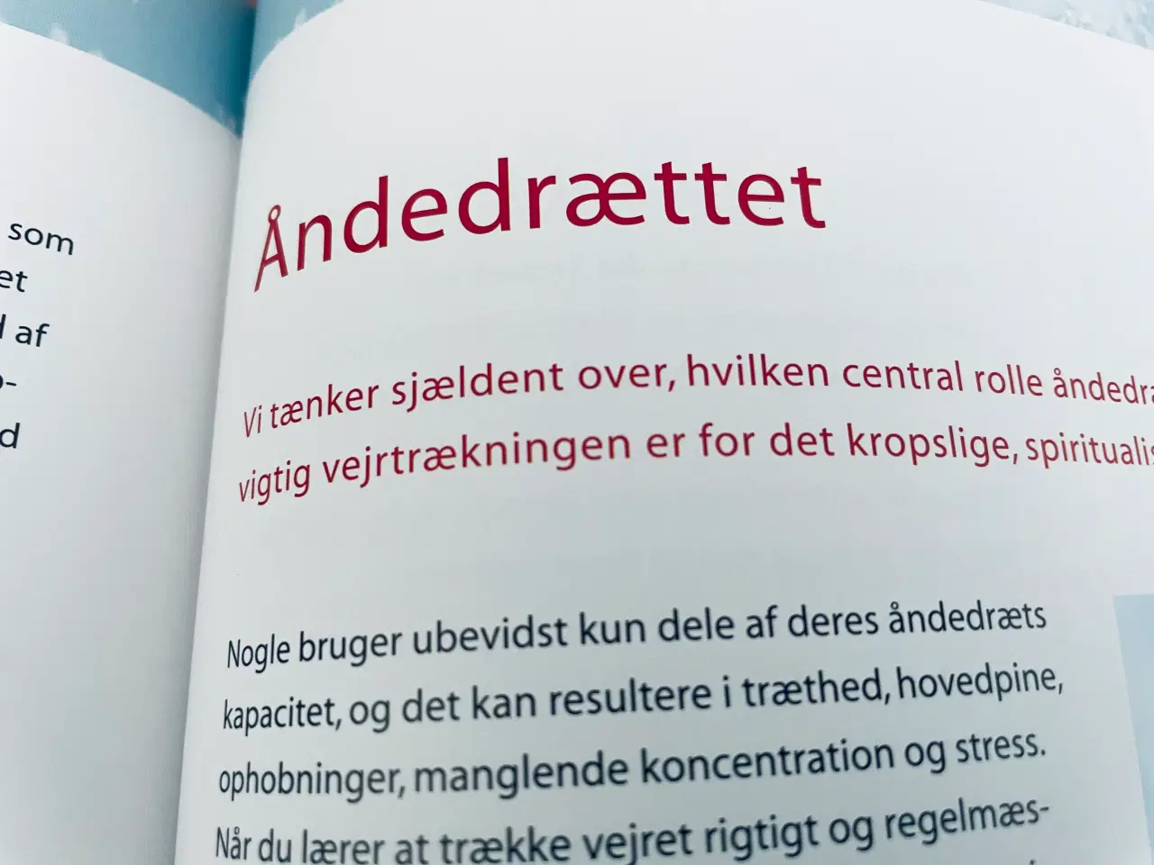 Billede 17 - Sund nu - afgiftning af krop og sjæl