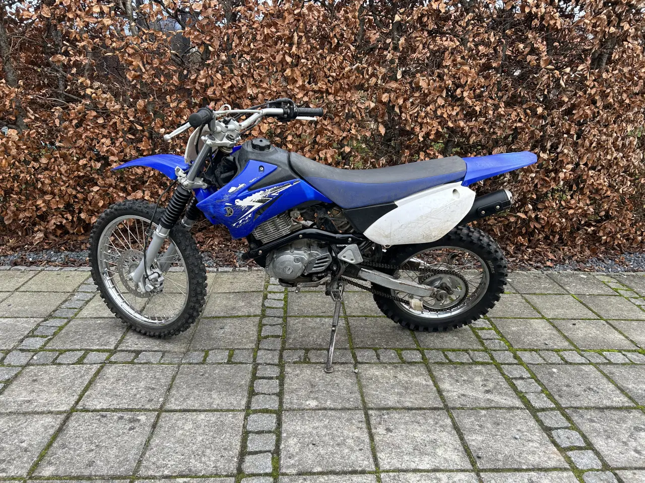 Billede 1 - Yamaha TTR 125