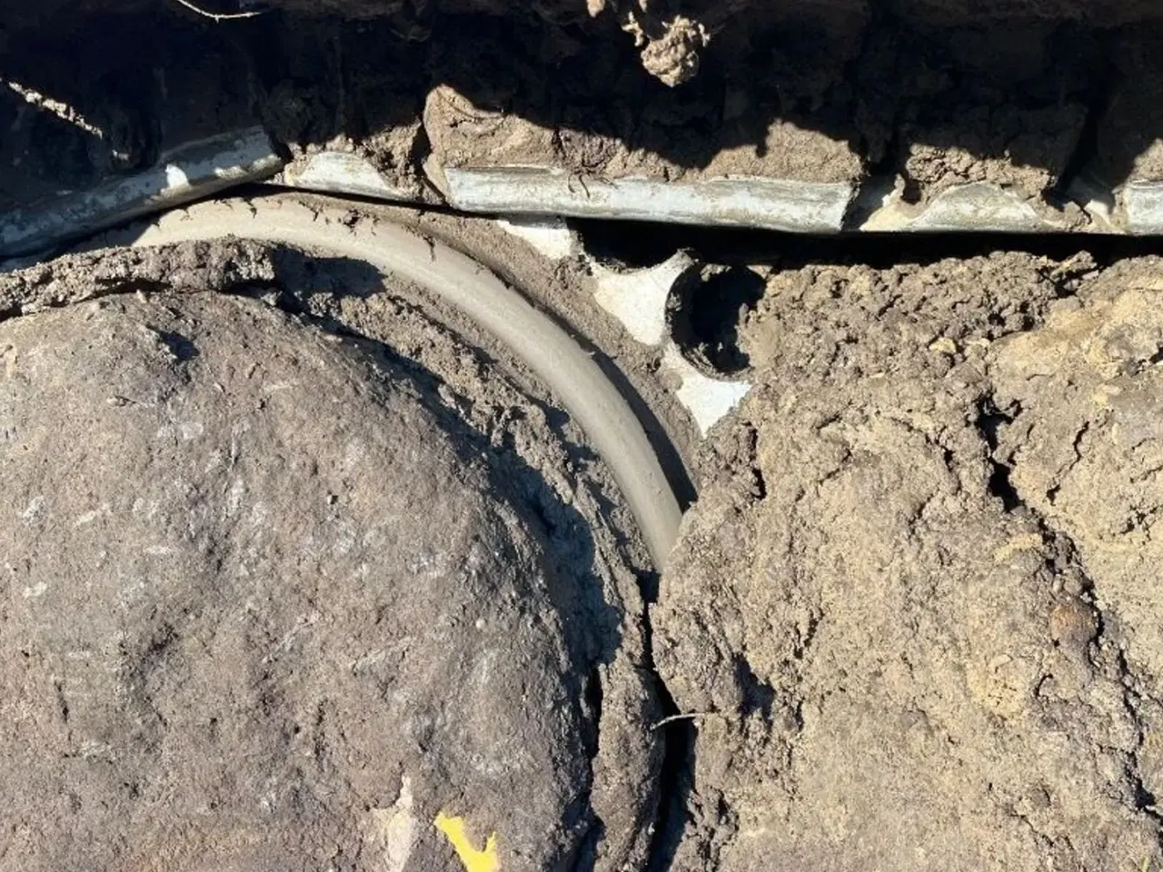 Billede 5 - Komatsu D 65 PX 16 Dozer