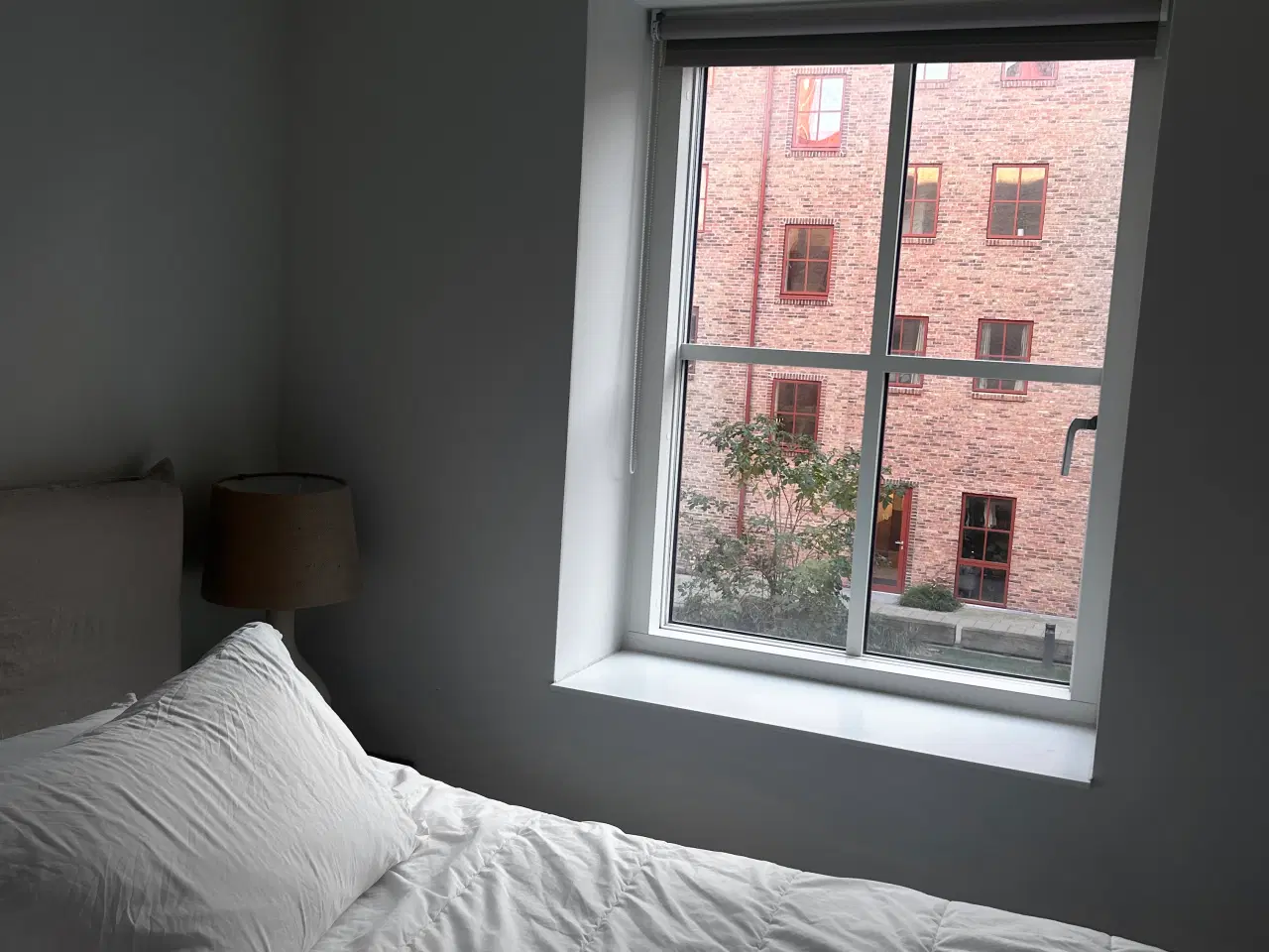 Billede 3 - Lejlighed i Sydhavnen lånes i evt Dec, Jan og Feb.