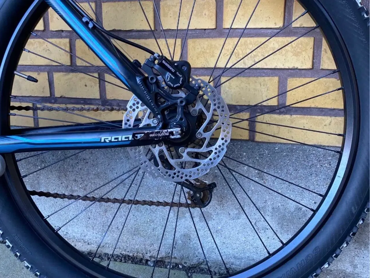 Billede 6 - Mountainbike RAAM