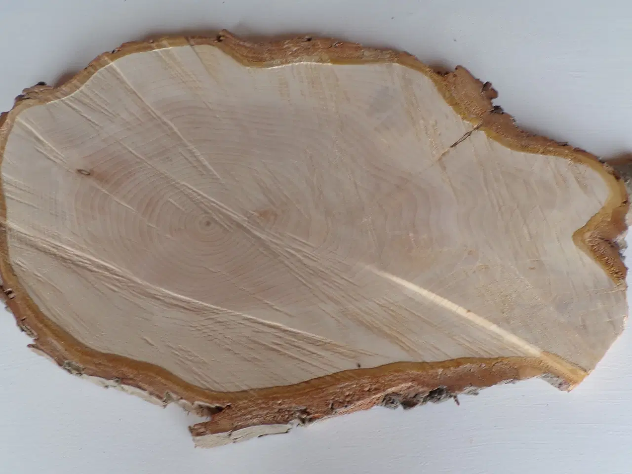 Billede 1 - NY Thuja Træskive med bark 44 cm lang