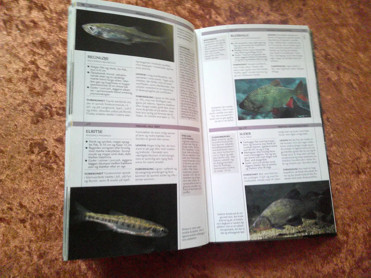 Billede 2 - Søen og åens dyr og planter, Tommy Dybbro