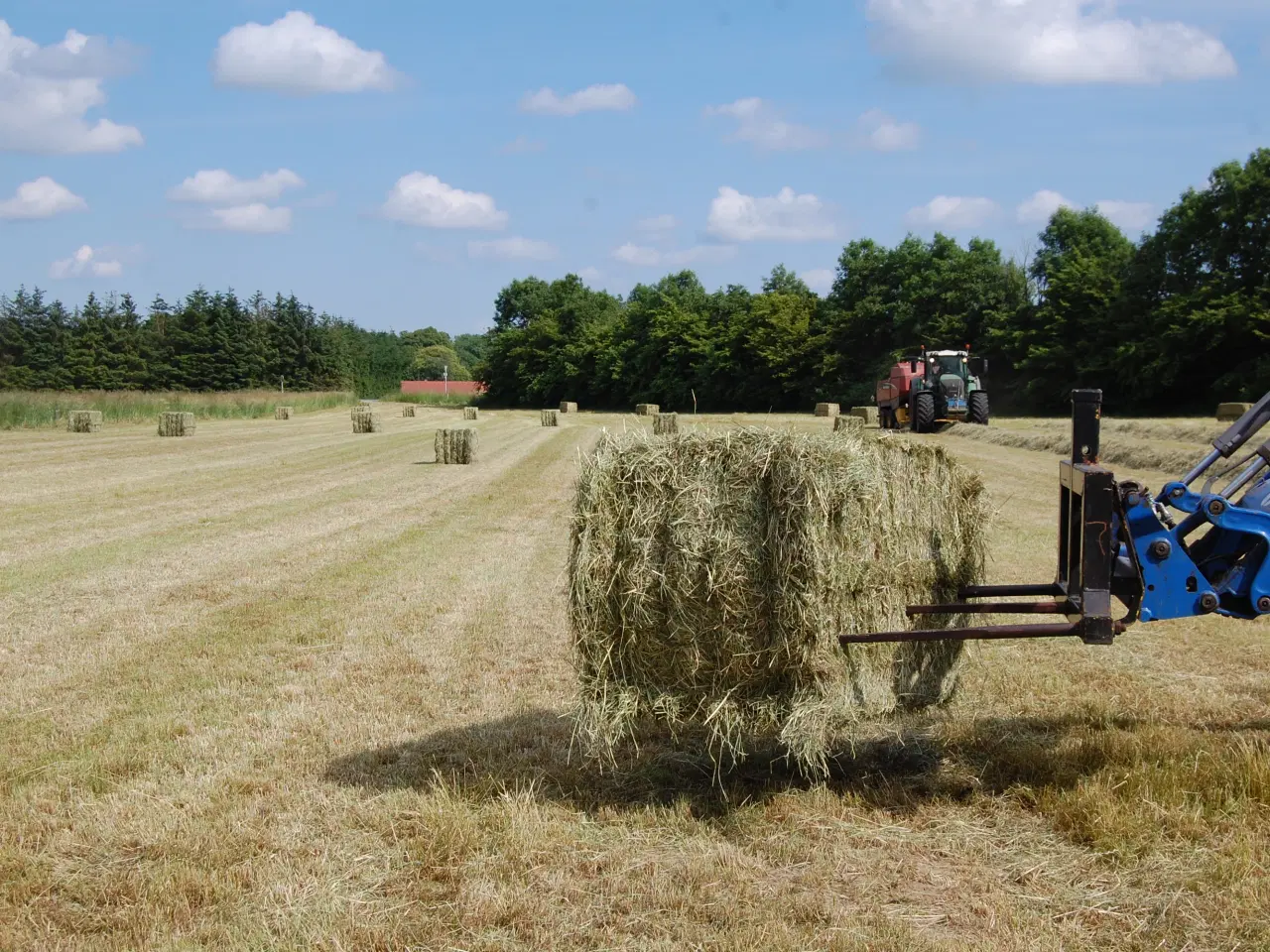 Billede 1 - WRAP HØ. Tørt.