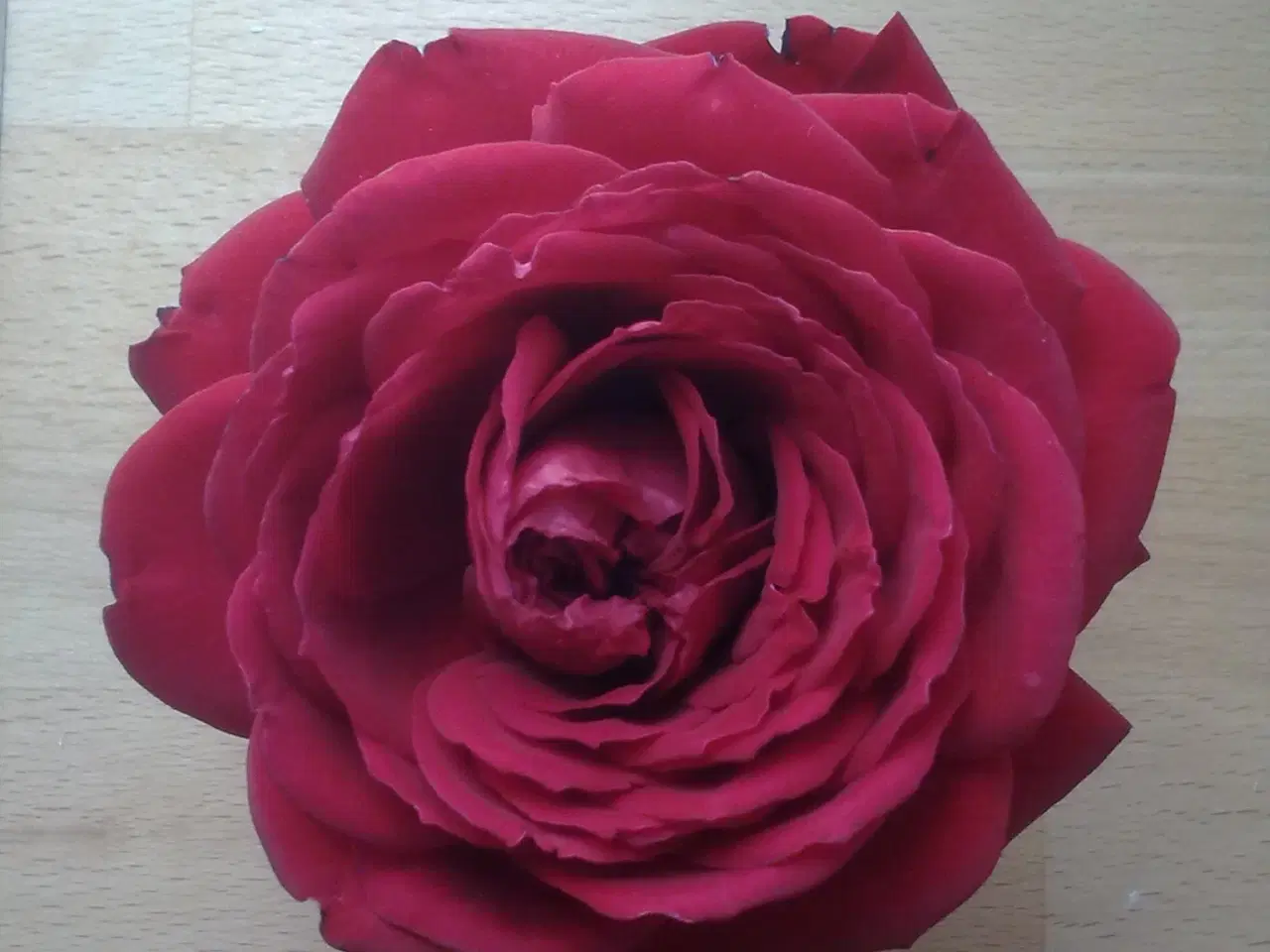 Billede 1 - Gustavsberg design samarbejde hvid form 