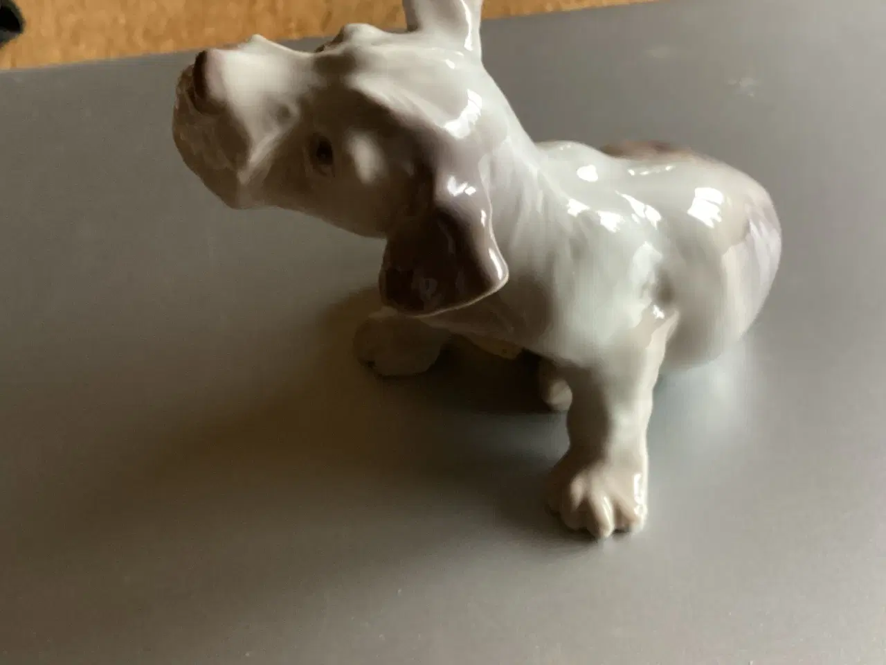 Billede 4 - BG Sealyham Hundehvalp