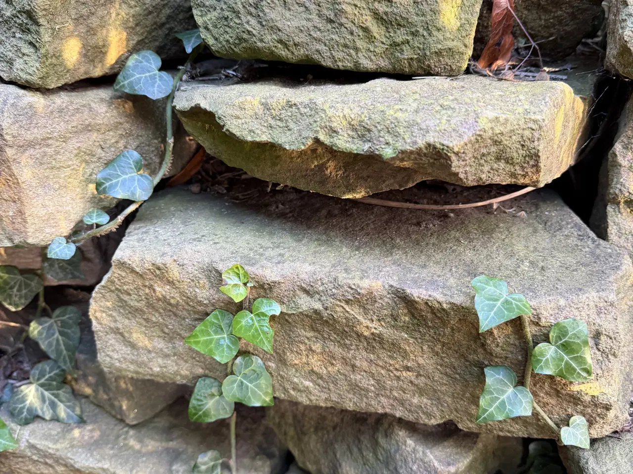 Billede 2 - Natursten