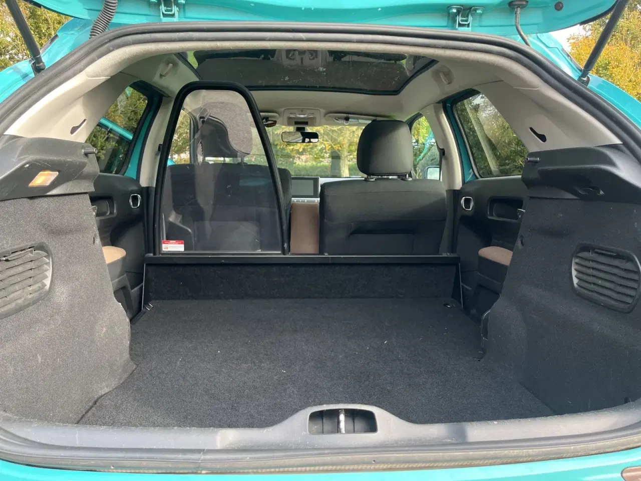 Billede 15 - Citroën C4 Cactus 1,6 BlueHDi 100 Shine ETG6 Van