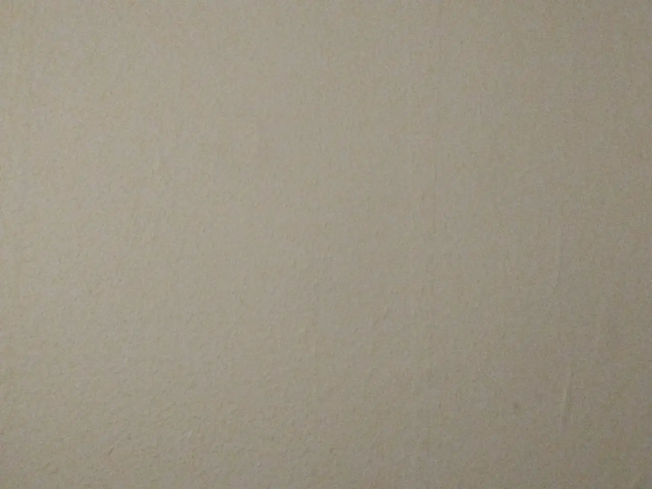 Billede 1 - Hund søges til godt og blivende hjem (adoption)