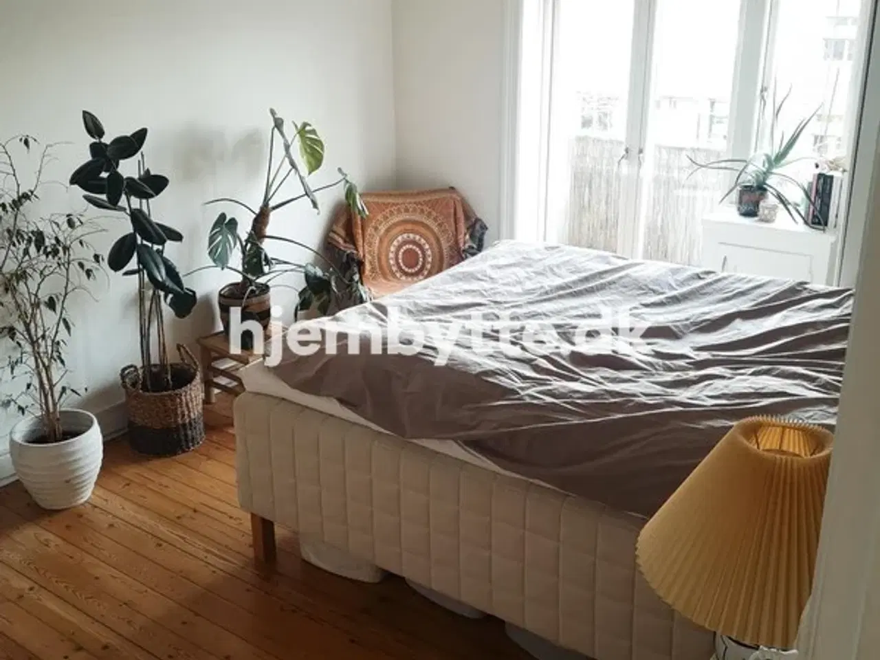 Billede 12 - Hjembytte - Scandiagade