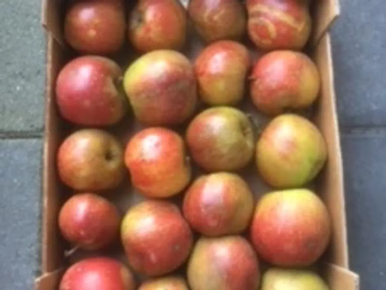 Billede 1 - Madæbler . Belle de boskoop