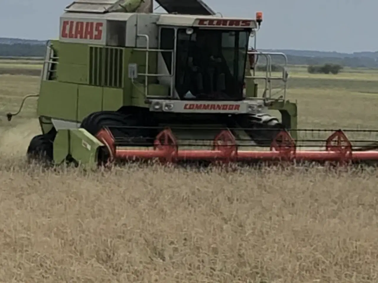 Billede 4 - Claas Commandor 116 CS