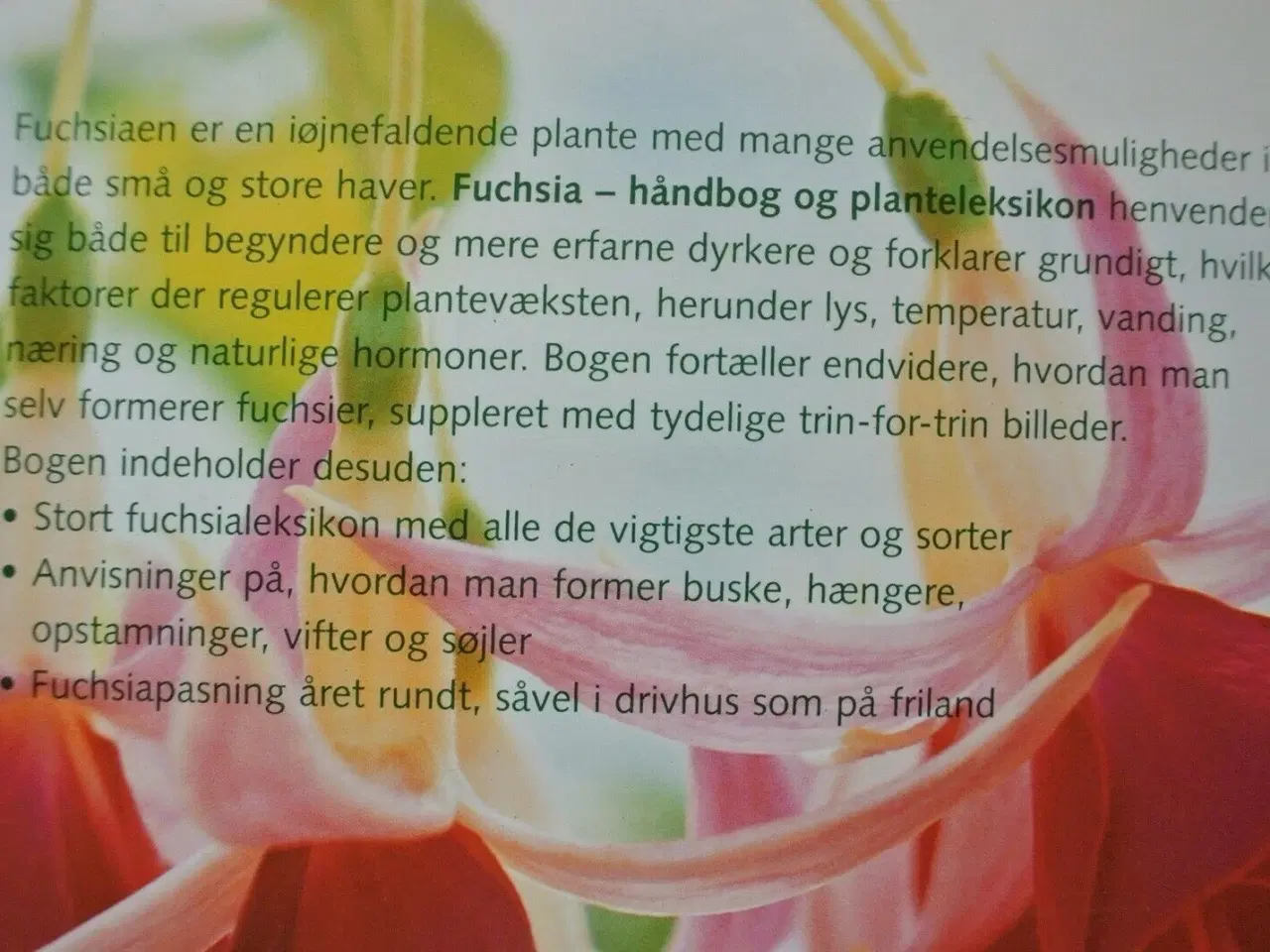 Billede 3 - fuchsia. håndbog og planteleksikon, Af david clark