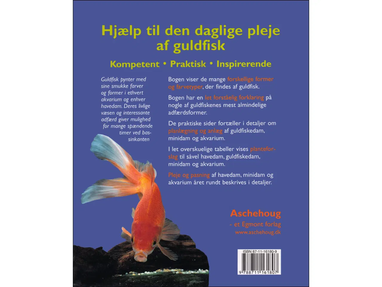 Billede 2 - Guldfisk