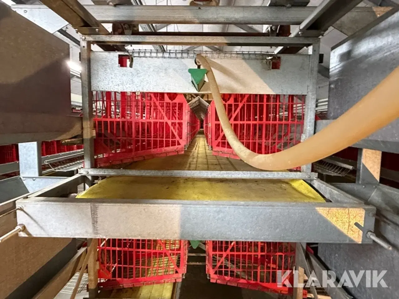 Billede 11 - Produktionslinje Landmeco æglægger system