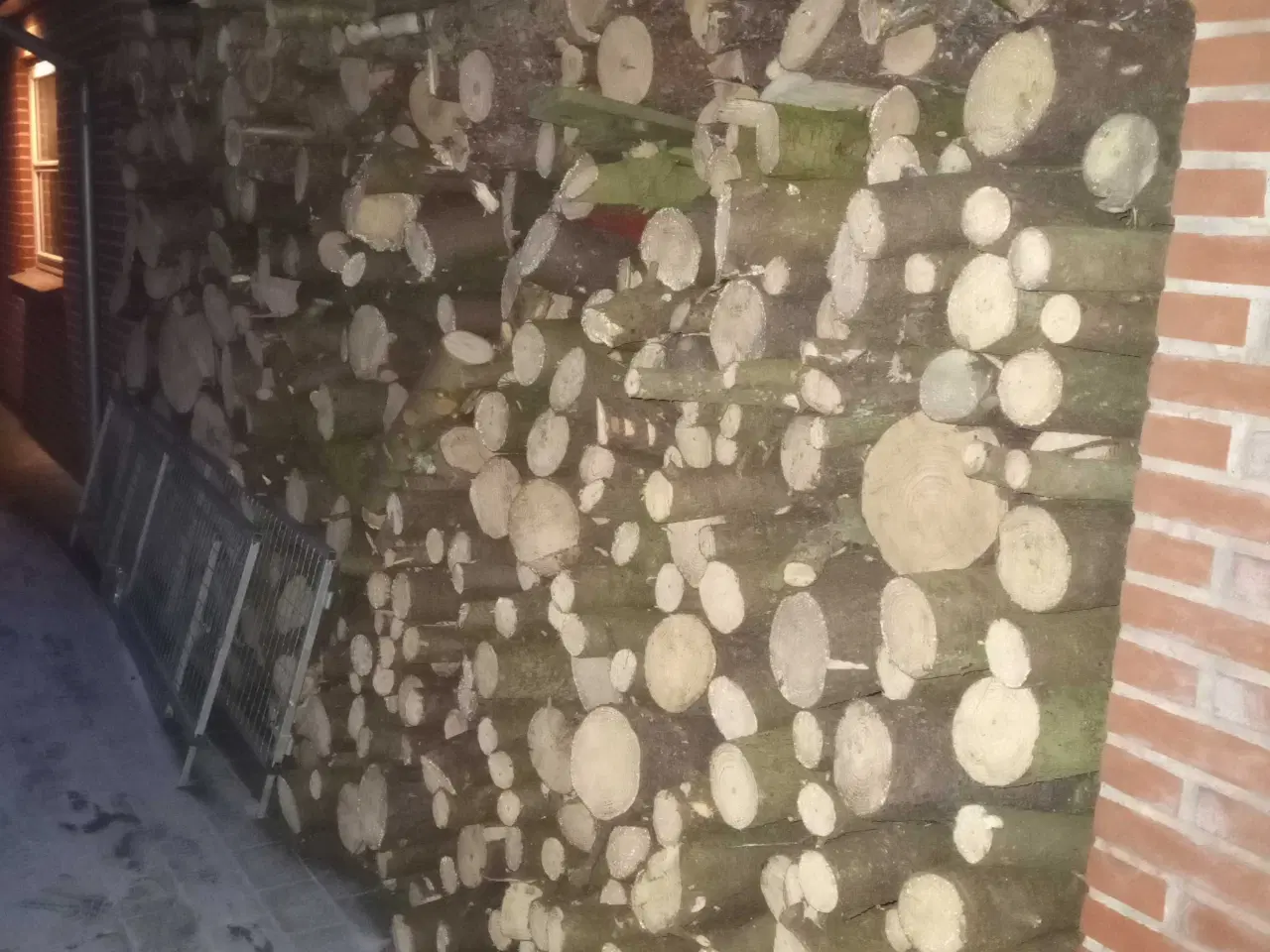 Billede 1 - Træ sælges 