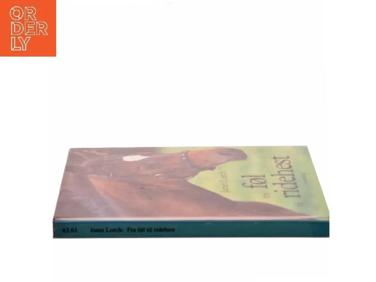 Billede 2 - Fra føl til ridehest af Janet Lorch (Bog)