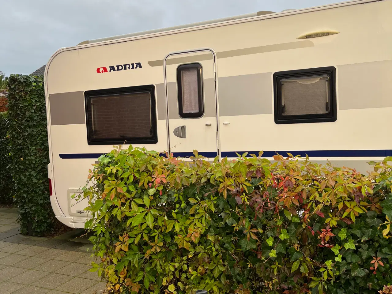 Billede 4 - Adria Alpina 563 LU -2015