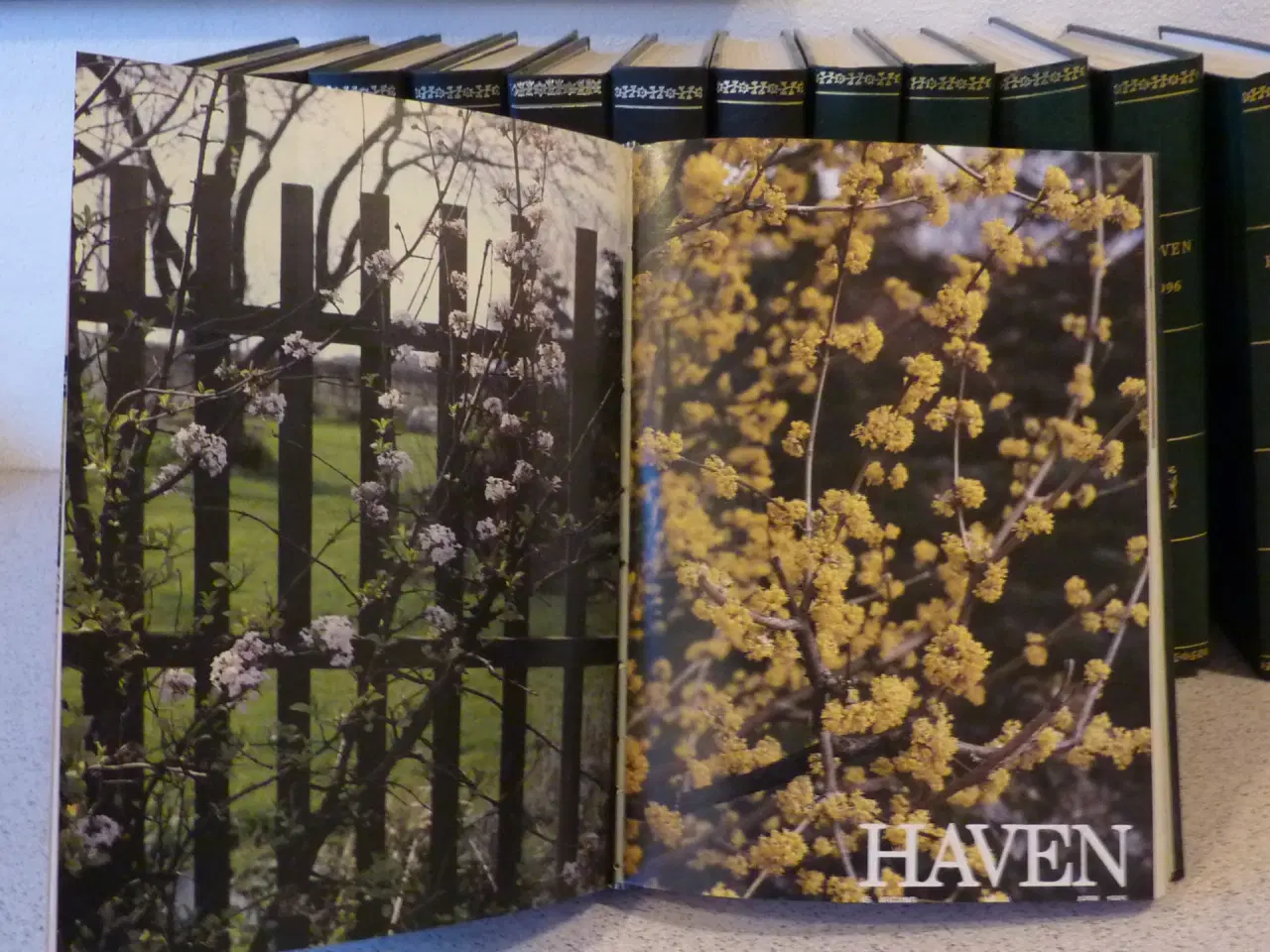 Billede 3 - Haven - Det Danske Haveselskab