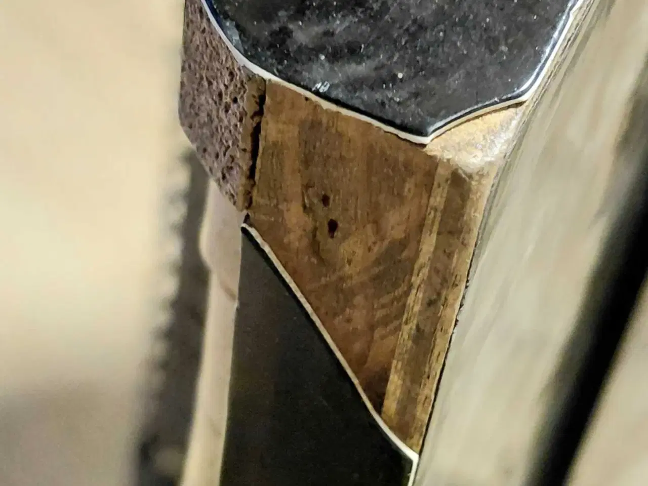 Billede 7 - Harmonika ASTRORIA