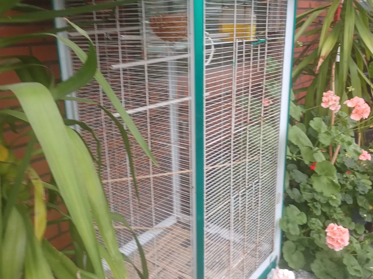 Billede 1 - Stor fuglebur  mål 170×60