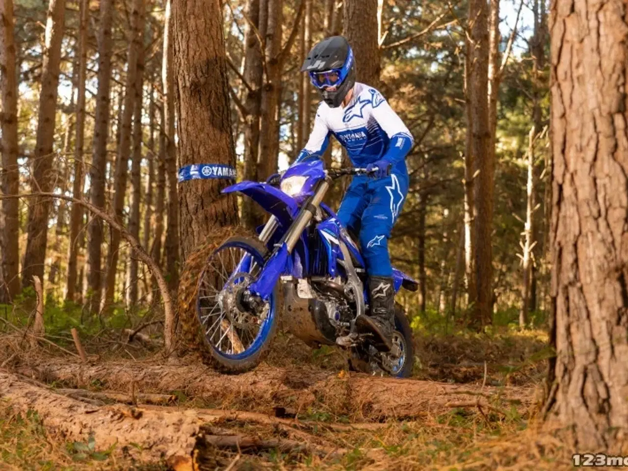 Billede 1 - Yamaha WR 250 F