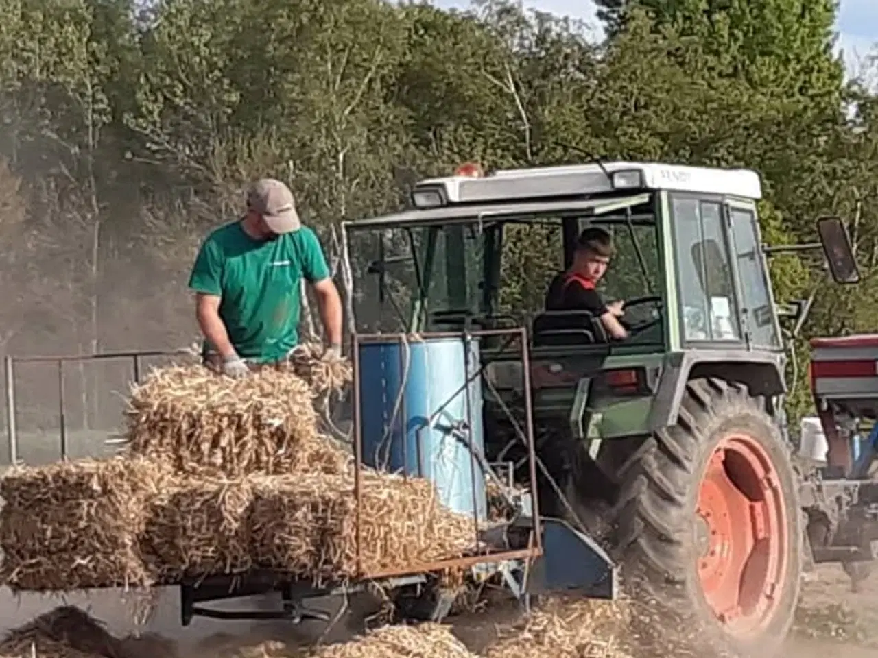 Billede 2 - Agerskov halmsnitter til jordbær