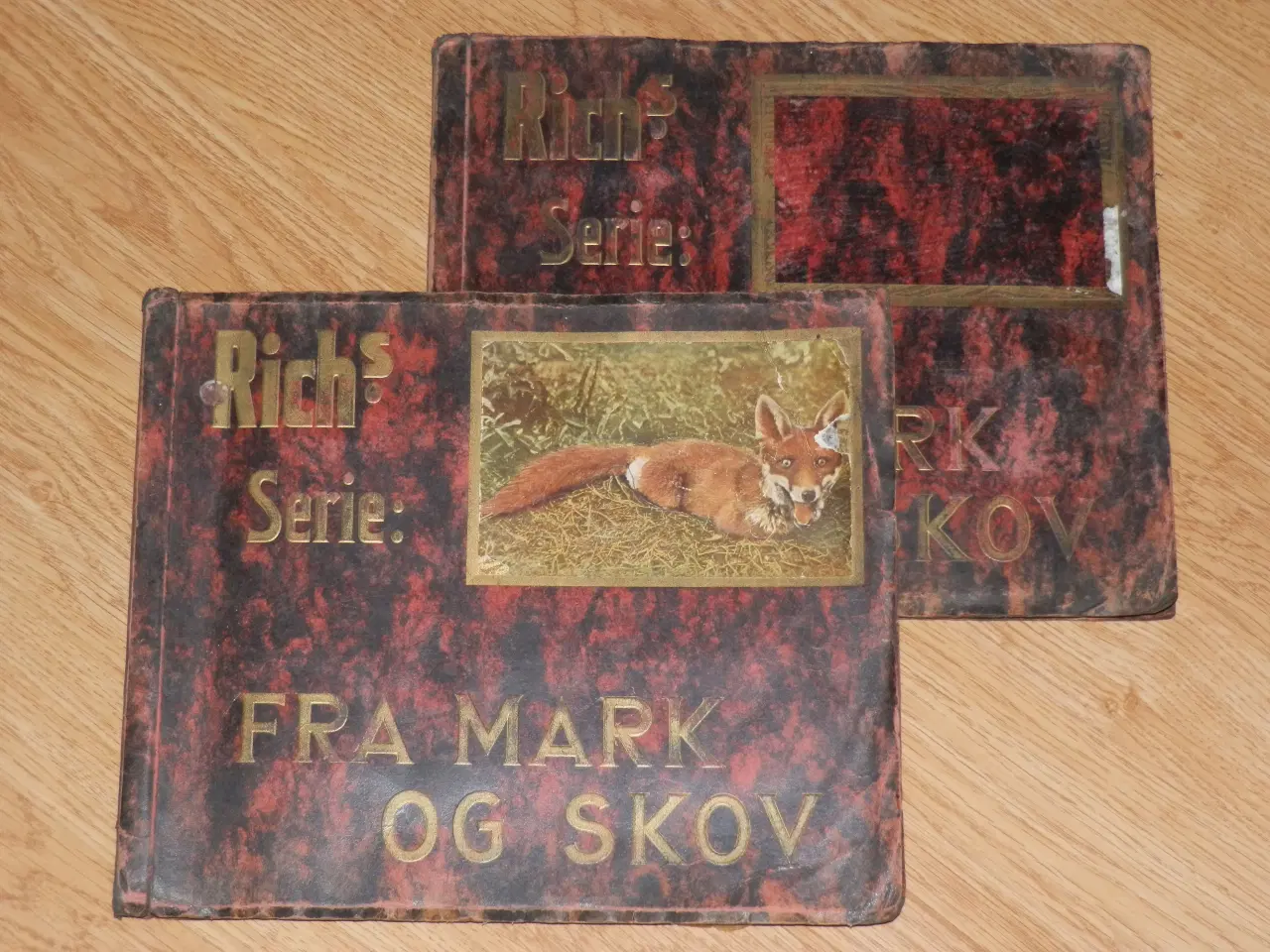 Billede 7 - Fine Richs album - Fra mark og skov.